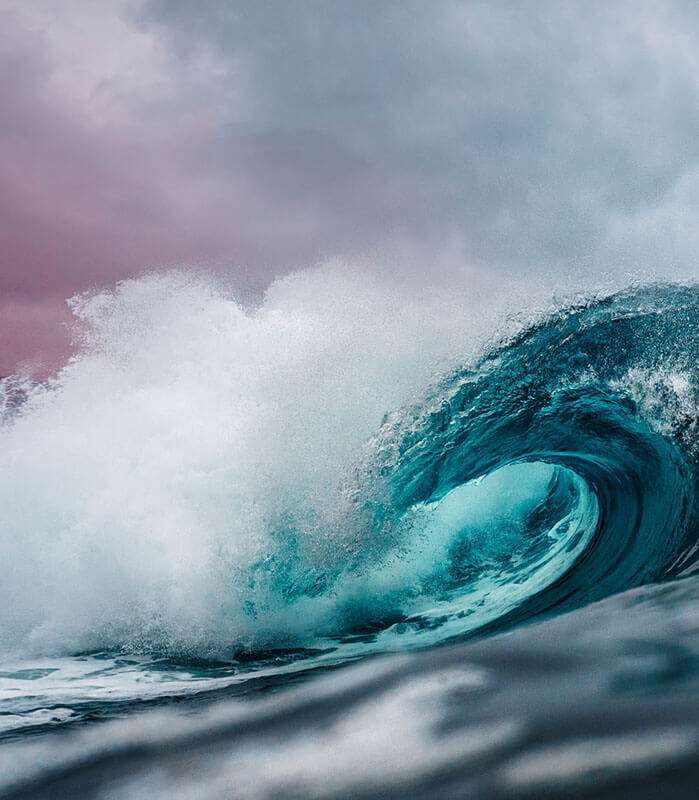 LLYC 10