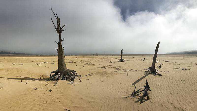 Las sequías, agravadas por la crisis climática del planeta, han contribuido a la desertificación de amplias regiones en África oriental