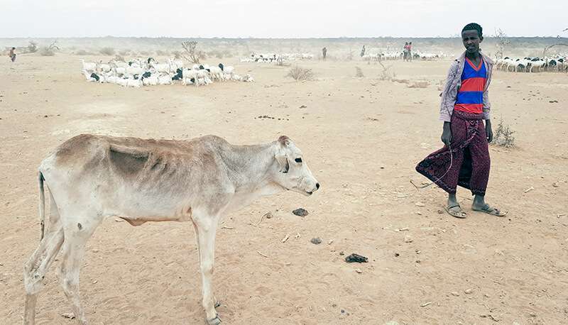 A pesar del crecimiento económico del último decenio, que ha convertido a Etiopía en uno de los países de desarrollo más rápido de África, las zonas rurales están sufriendo las consecuencias de la peor sequía de los últimos años
