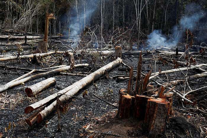 REUTERS/Bruno Kelly - Una extensión de la selva amazónica se quema mientras está siendo talada por madereros y agricultores en Novo Airao, estado de Amazonas, Brasil, el 21 de agosto de 2019