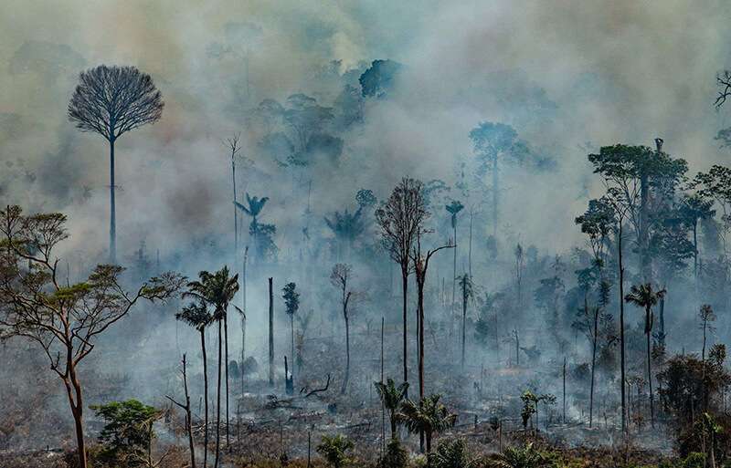Foto aérea de Greenpeace que muestra el humo que se desprende del Bosque Nacional de Jamanxim, en el bioma amazónico del municipio de Novo Progresso, Estado de Pará, Brasil, el 23 de agosto de 2019