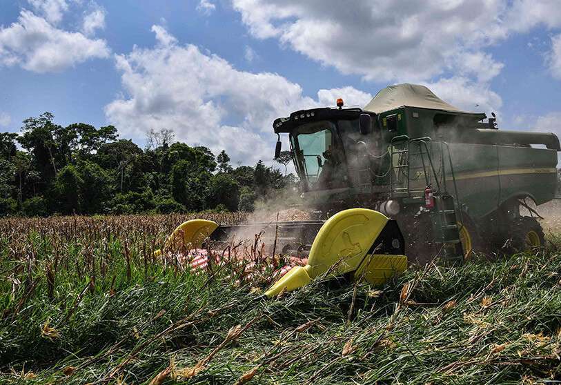 seguridad-alimentaria