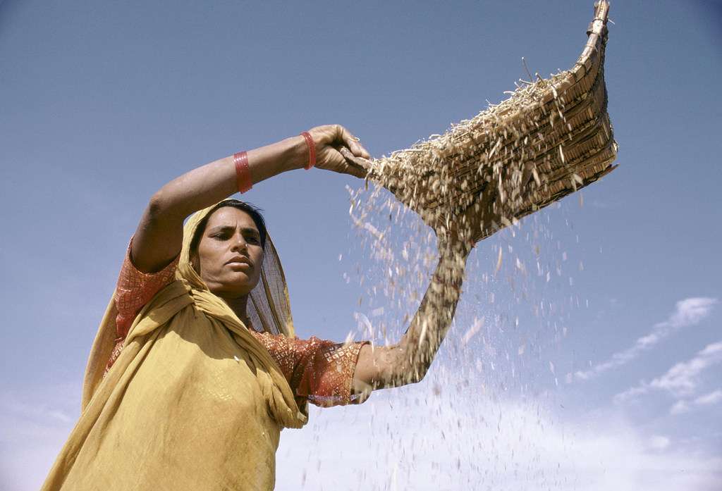 Una mujer agricultora de la India.