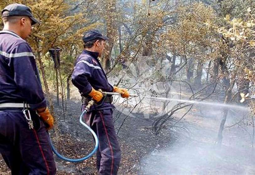 En 2019 fueron devastadas por el fuego más de 21.000 hectáreas. La campaña de extinción de incendios del presente año comenzó el 1 de junio con más de 3.000 trabajadores