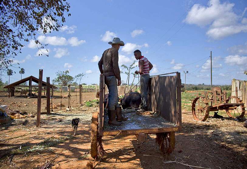 Agricultura América Latina