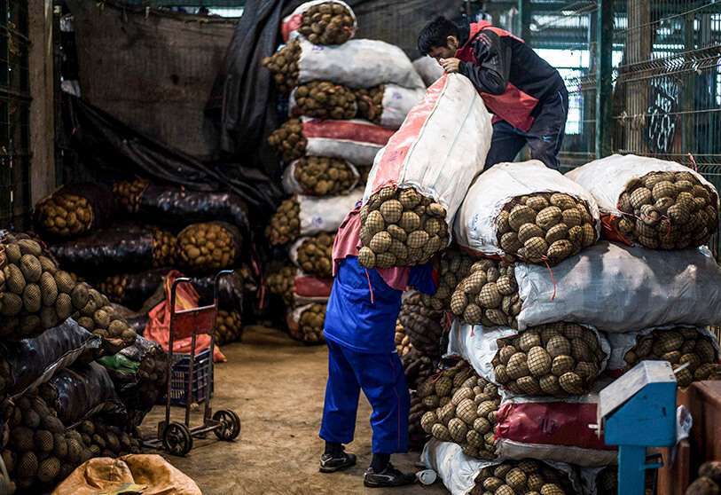 Agricultura América Latina