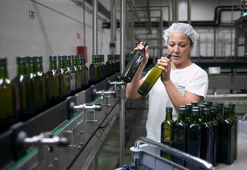 Los agricultores acababan de empezar a cosechar aceitunas en el sur de España cuando el Presidente de los Estados Unidos, Donald Trump, anuncio que Washington aplicaría fuertes aranceles a sus productos