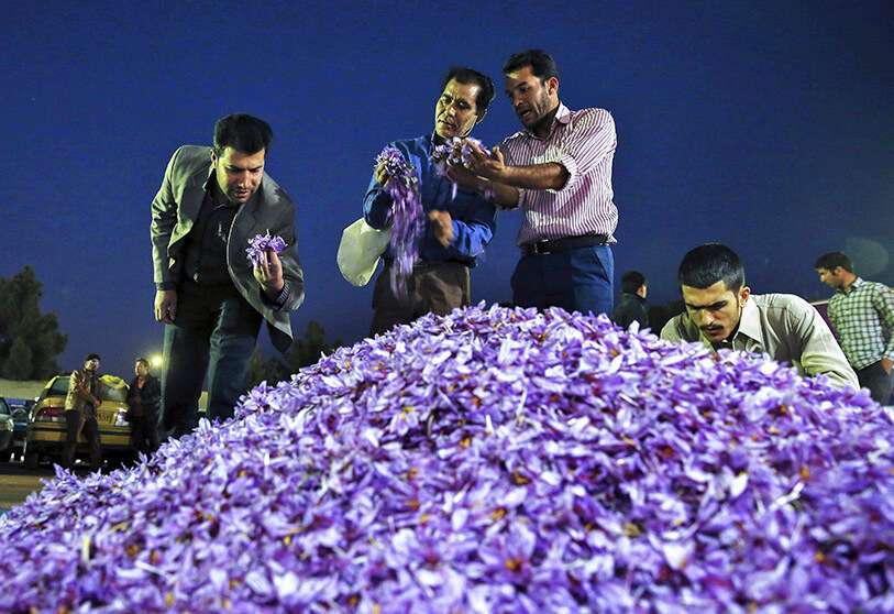 Marché aux fleurs de safran dans la ville de Torbat Heydariyeh, au nord-est de l'Iran AP/EBRAHIM NOROOZI