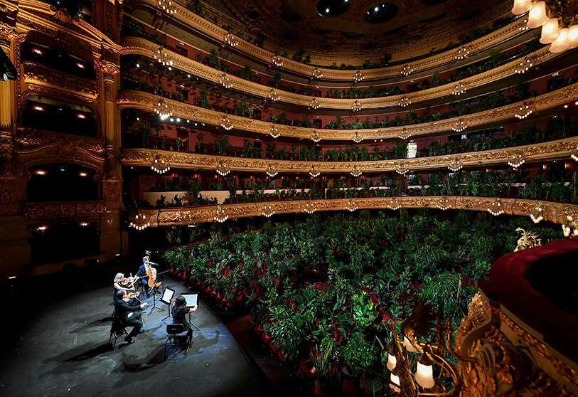 El Cuarteto Uceli actúa ante un público hecho de plantas durante un concierto creado por el artista español Eugenio Ampudia y que será retransmitido posteriormente en streaming con motivo de la reapertura del Gran Teatro del Liceo de Barcelona el 22 de junio de 2020 tras el cierre nacional para frenar la propagación del nuevo coronavirus AFP/ LLUIS GENE
