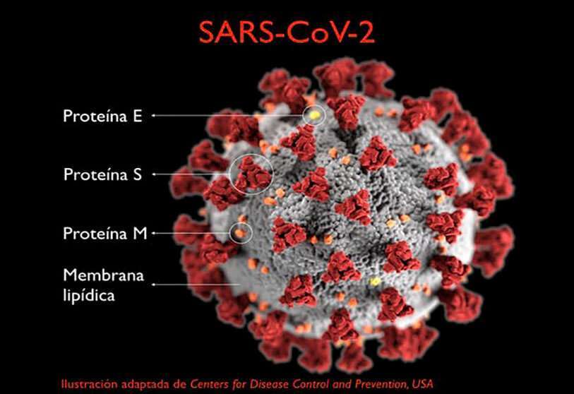 Coronavirus 1