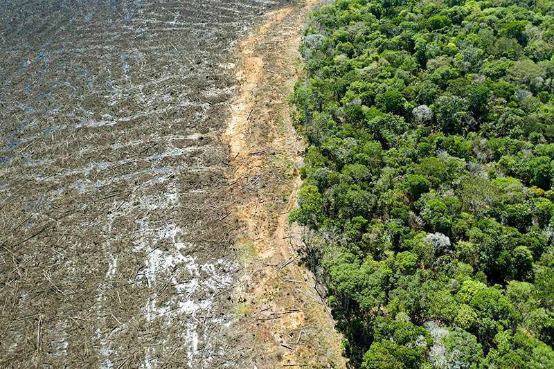 Atalayar_ Deforestación amazonas