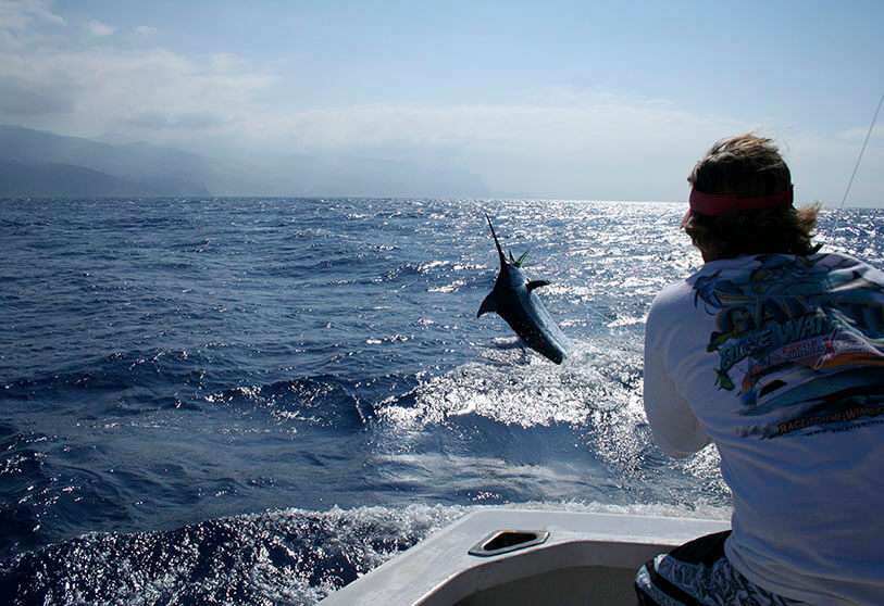 pesca madeira