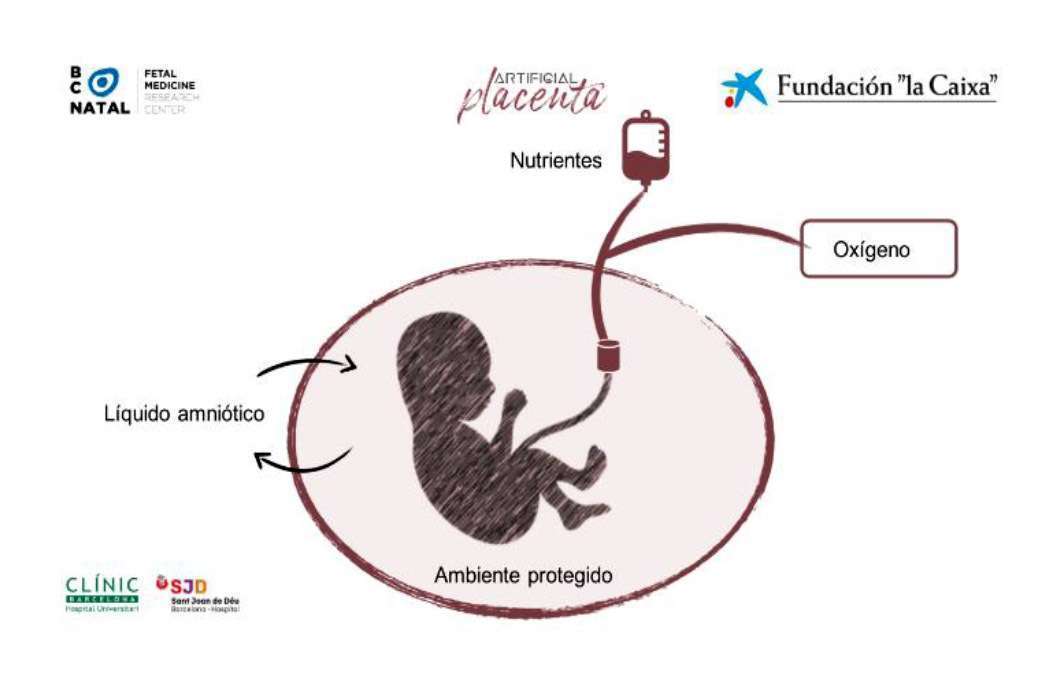 Fundación La Caixa