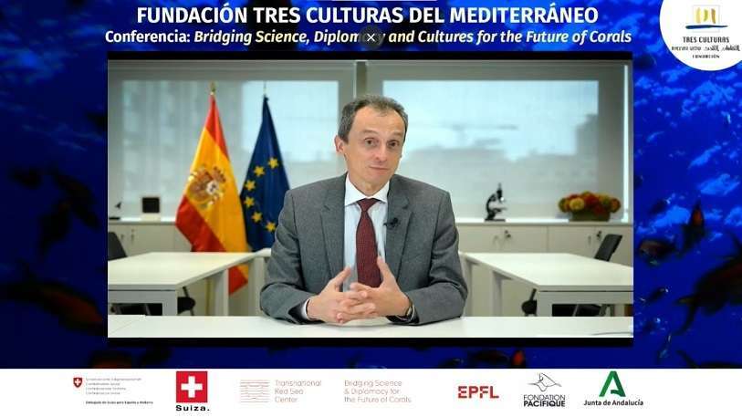 Atalayar_Fundación Tres Culturas