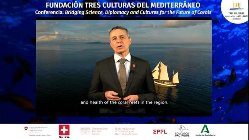 Atalayar_Fundación Tres Culturas