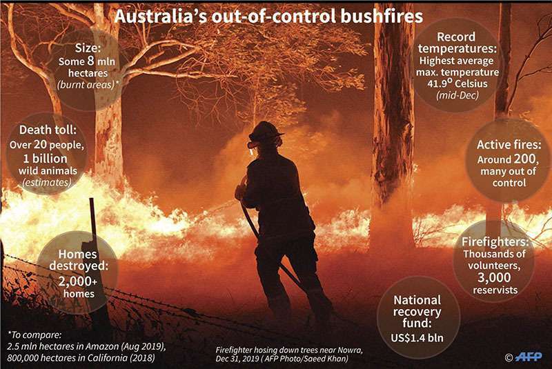 Datos clave sobre la crisis de incendios forestales provocados por la sequía en Australia