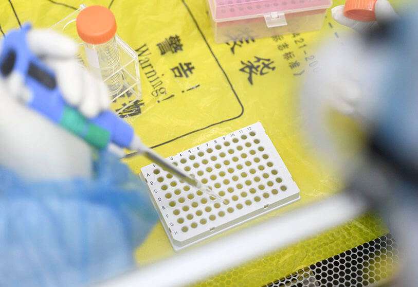 Investigación del coronavirus