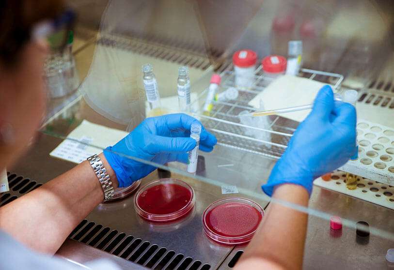 Cada proyecto ganador, en la primera convocatoria de CaixaImpulse Consolidate, recibe una ayuda económica de hasta 300.000 euros
