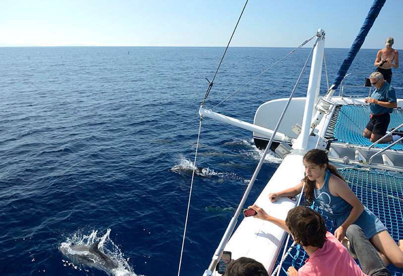 madeira catamaran