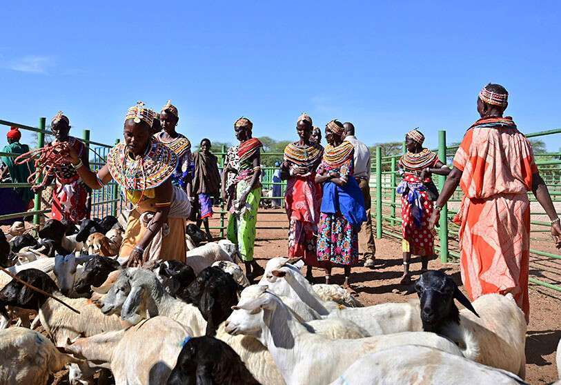 Les femmes traditionnelles Samburu