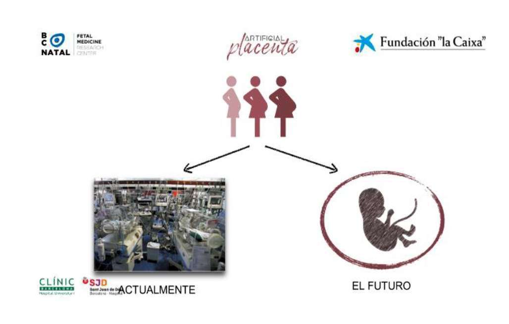Fundación La Caixa