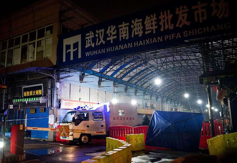 La OMS relaciona el origen de la pandemia con las granjas silvestres chinas