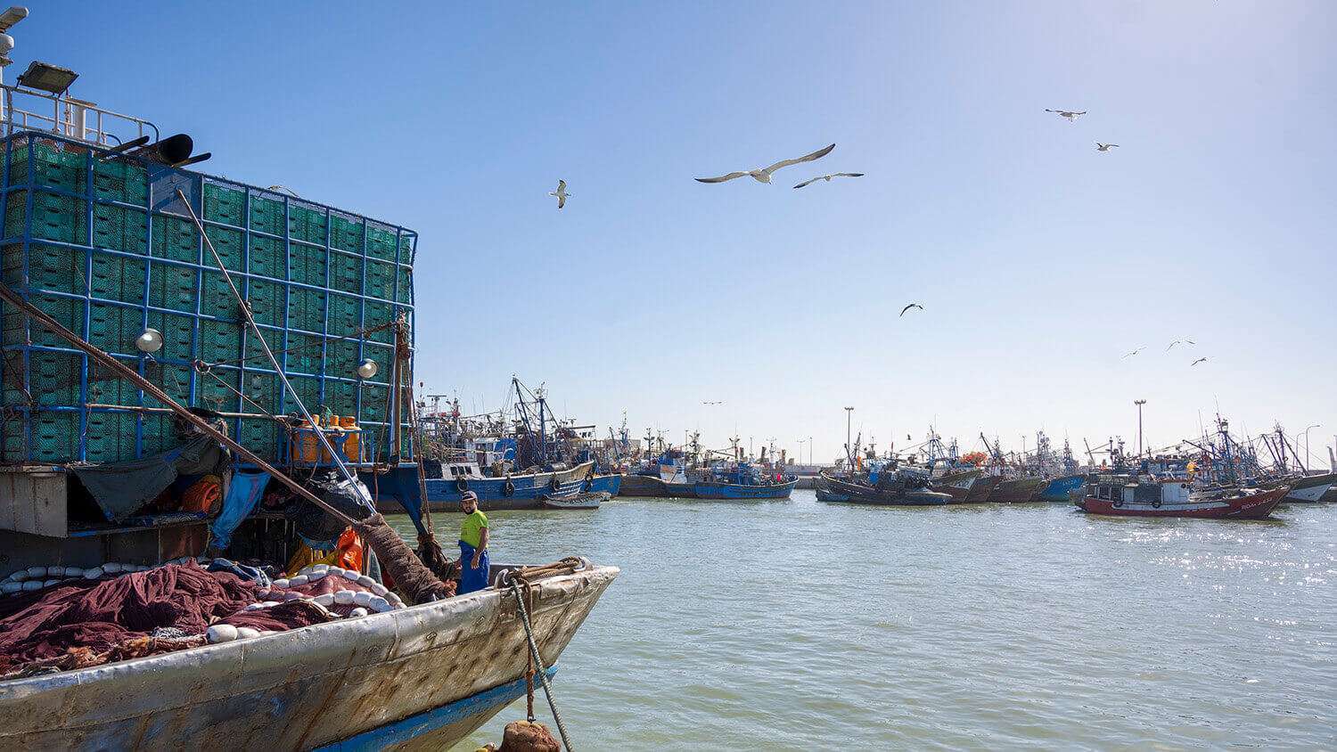 Atalayar_Pesca Dajla