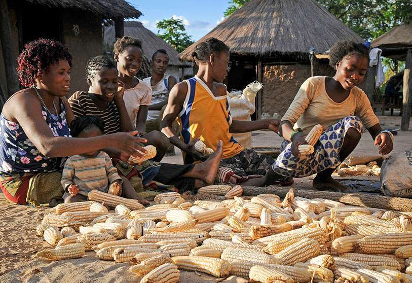 Zambia