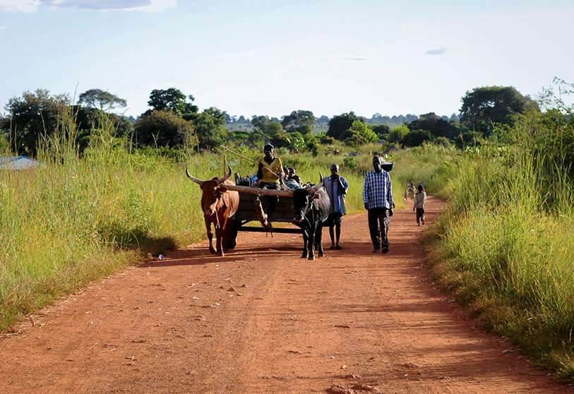 Zambia
