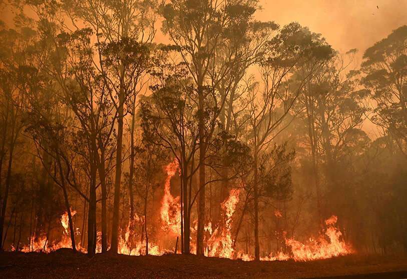 Un incendio forestal arde en la ciudad de Moruya, al sur de la Bahía de Batemans, en Nueva Gales del Sur