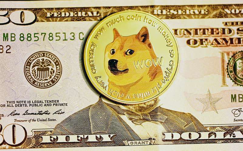 dogetti-criptomonedas
