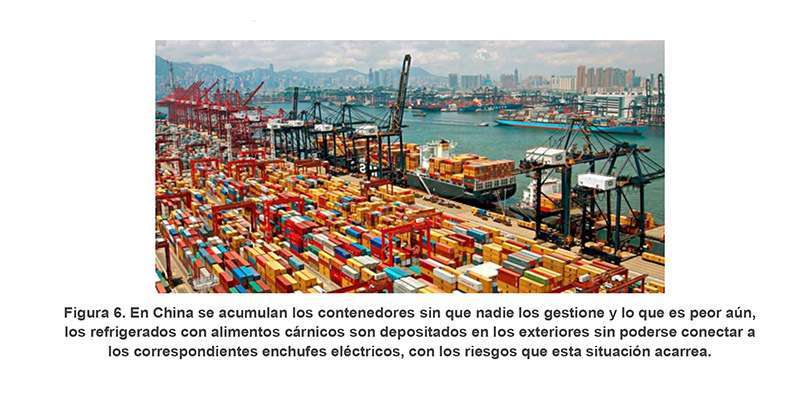 IEEE