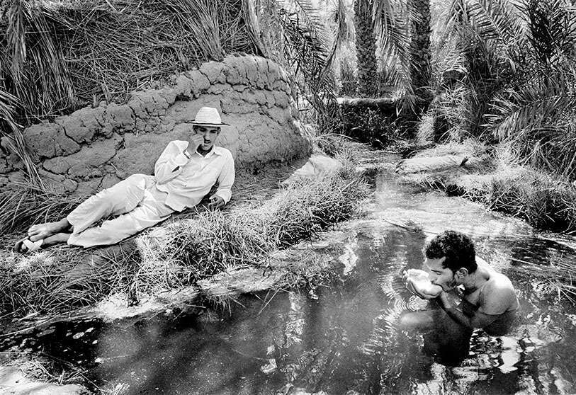 Manantial en el oasis de Jarga