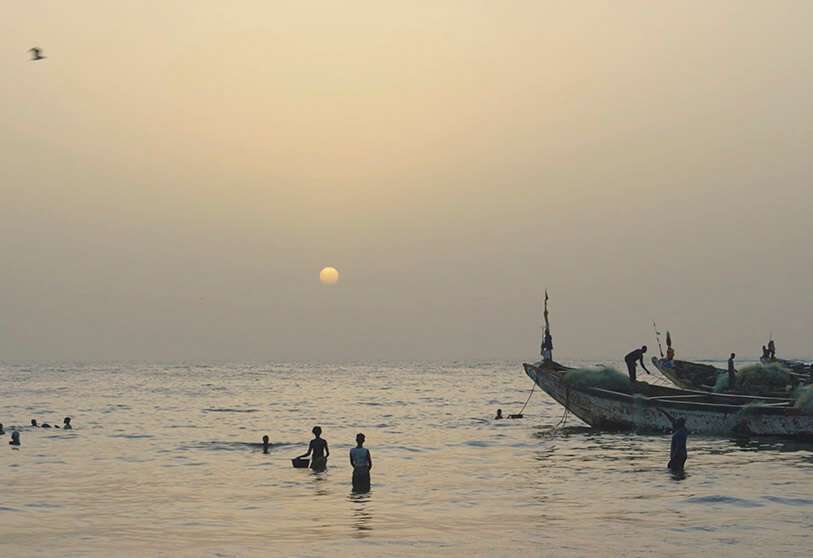 Stolen Fish, la realidad de la pesca en África