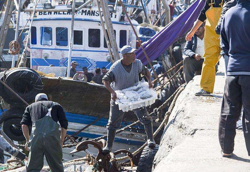 AFP/ FADEL SENNA - Los pescadores descargan cajas de pescado en el puerto de la principal ciudad del Sáhara Occidental controlada por Marruecos, El Aaiun