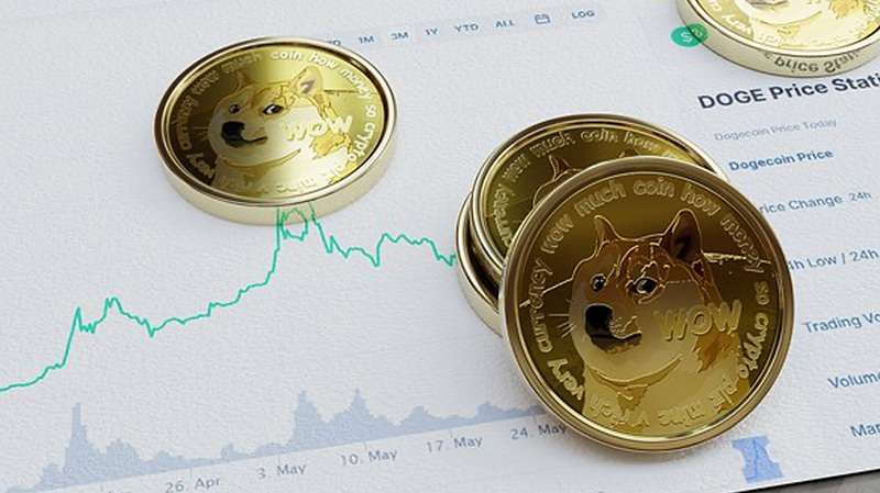 big-eyes-coin-dogecoin-elon-musk-criptomonedas