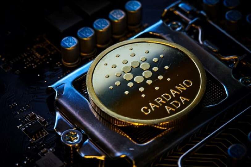 big-eyes-coin-criptomoneda