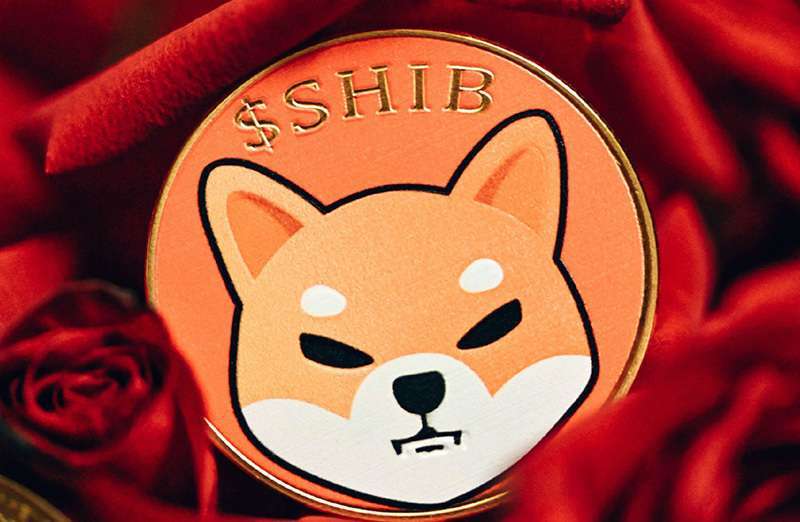 big-eyes-dogetti-shiba-inu-criptomonedas