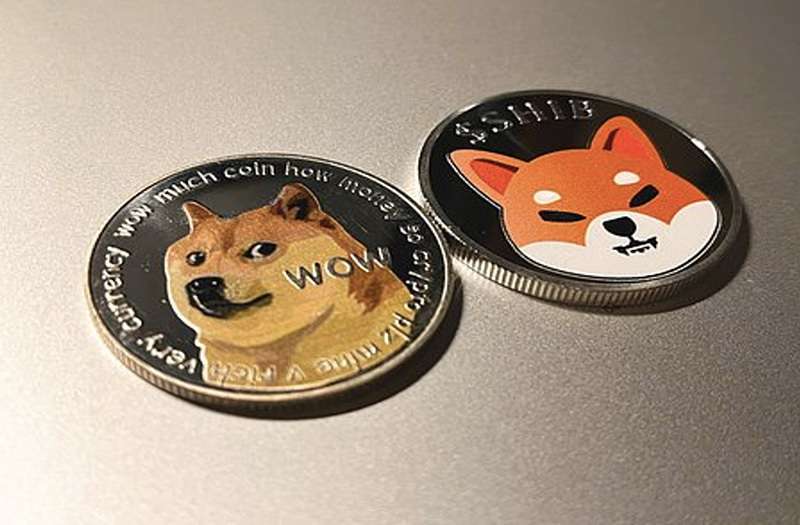 big-eyes-shiba-inu-hate-criptomonedas