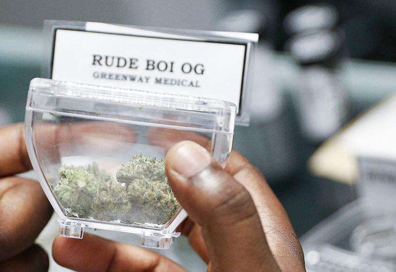 cannabis-marruecos