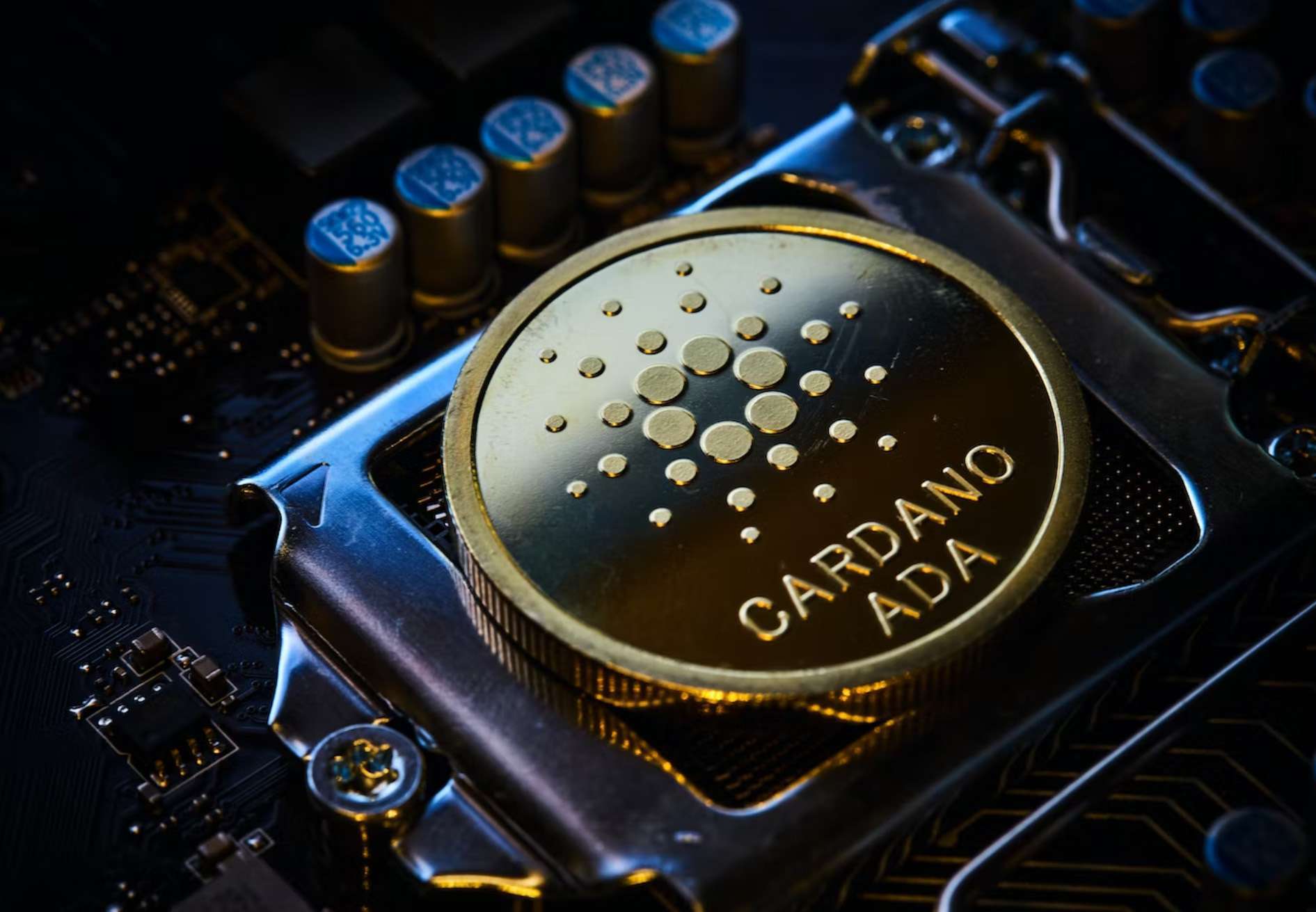cardano-algorand-big-eyes-criptomonedas
