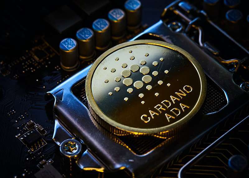 cardano-polygon-criptodivisas