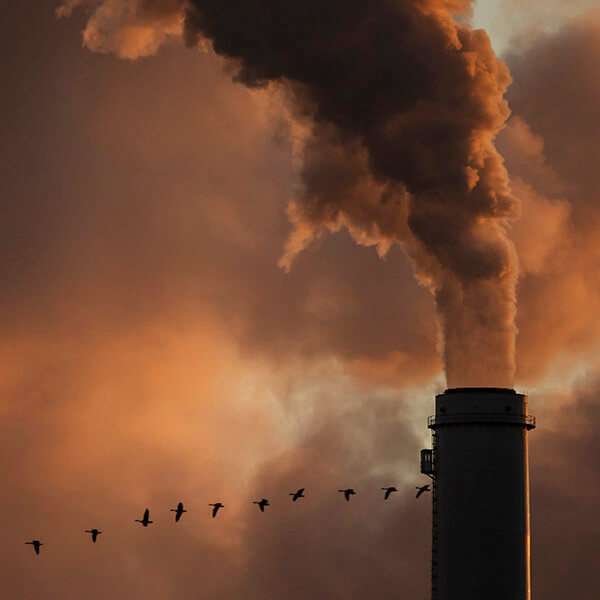 contaminacion-inteligencia-artificial