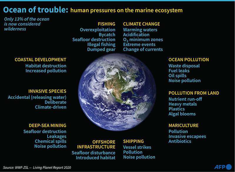 contaminacion-marina-plastico