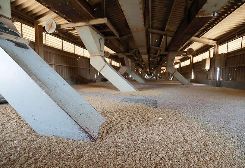 crisis alimentaria guerra rusia ucrania