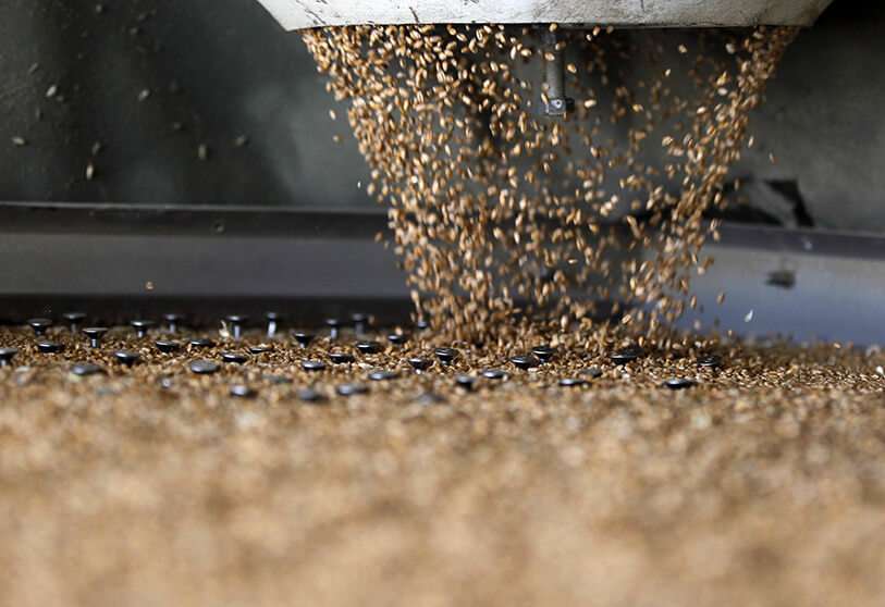 crisis alimentaria guerra rusia ucrania