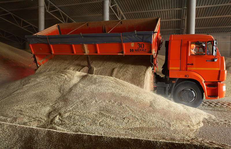 crisis alimentaria guerra rusia ucrania
