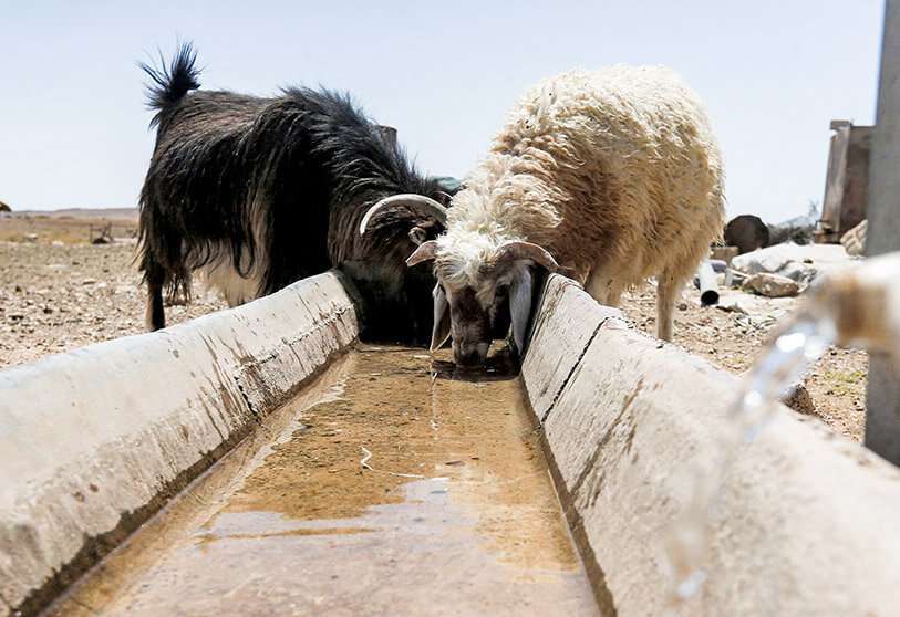 Sequia por el agua