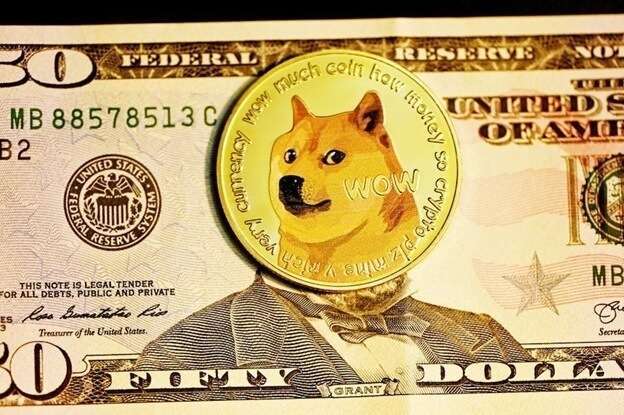 dogetti-criptomonedas