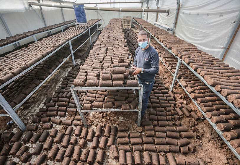 Pellet de combustible de madera de pomace ecológico hecho de los residuos del aceite de oliva, que puede ser utilizado como fuente de energía para los hogares durante la temporada de invierno, en una fábrica en la ciudad de Abasan al-Kabir
